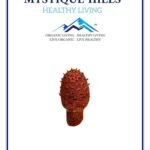 Mystique Hills Cynomorium Powder (100 g)