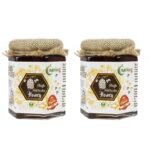 Nutriorg Certified Organic High Altitude Honey 250g (Pack of 2) | 100% Pure, Unadulterated, and NMR Approved | Raw Himalayan Honey for Weight Management, Energy Boost & Immunity | No Added Sugar | Natural Sweetener - Fast Shipping to USA & Canada