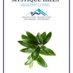 Mystique Hills Olive Leaf Tea 50 g - Fast Shipping to USA & Canada