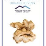 Mystique Hills Organic Sonth, Dry Ginger,100 g