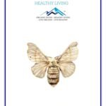 Mystique Hills Male Silkworm Moth Extract (100 g)