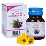 HOMOCOS Mefaq-08 Sbl Syzygium Jambolanum Mothet Tincture 1X Tablets (25Gm) - Set Of 1 Bottle