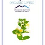 Mystique Hills Honeysuckle Flower Tea, 50 g - Fast Shipping to USA & Canada