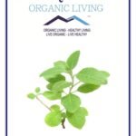 Mystique Hills Organic Ashwaganda Leaves Herbal Tea,100 g - Fast Shipping to USA & Canada