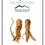 Mystique Hills Dong Quai Root Powder,Angelica sinensis 50 g