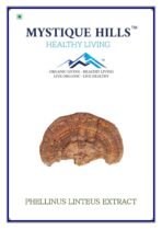 Mystique Hills Phellinus linteus Mushroom Extract 50 g