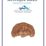 Mystique Hills Phellinus linteus Mushroom Extract 50 g