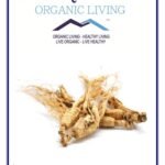 Mystique Hills Organic Siberian ginseng owder 100 g