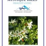 Mystique Hills Harsingar Leaves Herbal Tea, Parijat (100 g) - Fast Shipping to USA & Canada