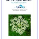 Mystique Hills Cnidium monnieri Powder (100 g)