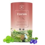 Wellbeing Nutrition Focus Tea | Memory Booster Green Tea for Focus, Concentration & Cognitive Function with Brahmi, Shankhpushpi, Ginkgo Biloba, Gotu Kola (20 Pyramid Tea Bags)
