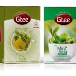 GTEE Green Tea Bags - Mint & Tulsi Tea Bags, 25 Tea bags (Pack of 2) - Fast Shipping to USA & Canada