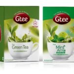 GTEE Green Tea Bags - Regular & Green Tea Bags - Mint, 25 Tea bags (Pack of 2) - Fast Shipping to USA & Canada