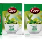 GTEE Green Tea Bags - Mint, 25 Tea bags (Pack of 2) - Fast Shipping to USA & Canada