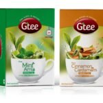 GTEE Green Tea Bags - Mint & Green Tea Bags - Cinnamon & Cardamom, 25 Tea bags (Pack of 2) - Fast Shipping to USA & Canada