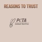 Swiss Beauty Professional Face & Eye Brush Set of 6 with Synthetic Fibres and Easy Blending For Cream, Liquid & Powder Formulation - Fast Shipping to USA & Canada - Image 7