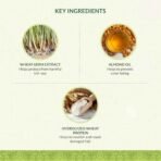 INDUS VALLEY 100% organic Deep Nourishing Hair (eaze) Spa - Fast Shipping to USA & Canada - Image 6