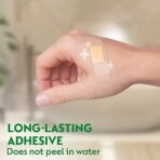 Dettol Medicated Plaster for Antiseptic and First Aid, Waterproof (Jar of 172 plasters) - Fast Shipping to USA & Canada - Image 4