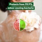 Dettol Body Wash and Shower Gel for Women and Men, Lime Fresh - 500ml | Soap-Free Bodywash | 12h Odour Protection - Fast Shipping to USA & Canada - Image 5