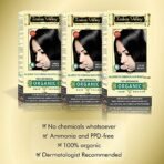 INDUS VALLEY 100% Botanical Organic Hair Color (Indus Black)- 120g*3=360g - Fast Shipping to USA & Canada - Image 3