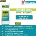 INDUS VALLEY Wicked Cool Deodorant Stick for Unisex, 50g - Fast Shipping to USA & Canada - Image 3