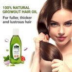 INDUS VALLEY 100% Organic Olive Oil Massage Oil & Growout Hair Oil (100ml+100ml= 200ml) - Fast Shipping to USA & Canada - Image 6