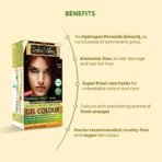 INDUS VALLEY Ammonia Free Natural Semi-Permanent Gel Hair Colour Burgundy 3.6 for Men & Women with 100% Grey Coverage & Long Lasting -220GM (pack of 3) - Fast Shipping to USA & Canada - Image 4