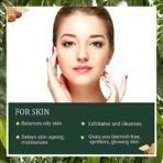 INDUS VALLEY Organic (Sandalwood Face Pack + Aloevera Cucumber Toner) Pack of 200g + 250ml - Fast Shipping to USA & Canada - Image 4