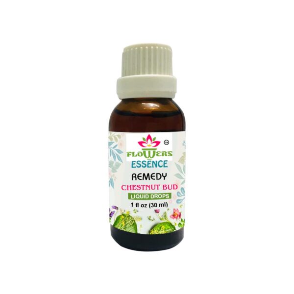 Chestnut Bud 30ml || Organic Concentrate Natural Flower Remedy || ShopHomeo