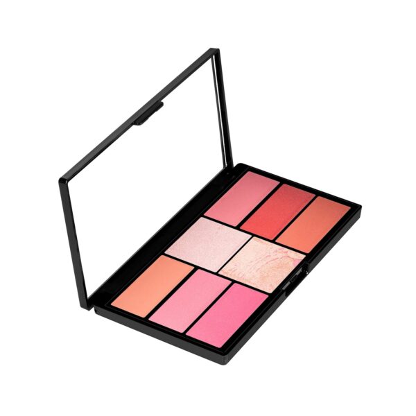 Swiss Beauty Pro Blusher & Highlighter Palette For Face Makeup | Shade-02, 18g - Fast Shipping to USA & Canada