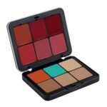 MARS Cover Rangers Creamy Matte Concealer And Corrector Palette | Include Lip & Cheek Tint | Easy To Blend & Lightweight Concealer For Face Makeup (24 Gm) (03-Multicolor) - Fast Shipping to USA & Canada