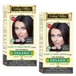 INDUS VALLEY 100% Certified Organic Hair Colour (Soft Black) - (120g*2=240g) - Fast Shipping to USA & Canada