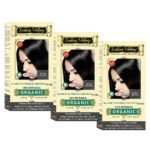 INDUS VALLEY 100% Botanical Organic Hair Color (Indus Black)- 120g*3=360g - Fast Shipping to USA & Canada