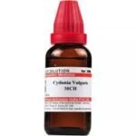Willmar Schwabe India Cydonia Vulgaris 30 CH (30 ml)