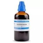 SBLC0 Plantago Major Q 100 ml || Shophomeo