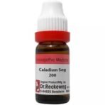 Dr. Reckeweg Caladium Seguinum 200 CH (11ml) || Set of 2