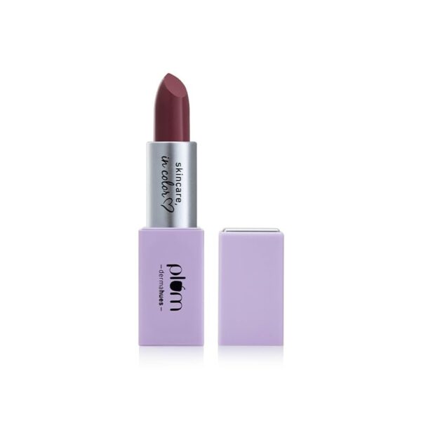 Plum Velvet Haze Matte Lipstick with SPF 30 | Powder Matte Finish | Highly Pigmented | With Ceramides | 04 Bold Brick - Fast Shipping to USA & Canada