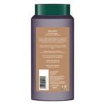 Biotique Walnut Volume and Bounce Shampoo and Conditioner | For Fine and Thinning Hair| Volumizing Shampoo for Thin Hair |100% Botanical Extracts |340ml - Fast Shipping to USA & Canada - Image 3