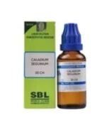 Caladium Seguinum 30CH 30ml [Set of 2] || Individual Homeopathic Remedy