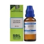 Caladium Seguinum 30CH 30ml [Set of 2] || Individual Homeopathic Remedy