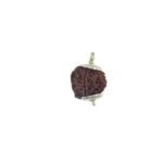 GANESHA RUDRAKSHA WITH CAP-PAUDJWKPJS1915163