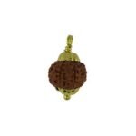 7 MUKHI RUDRAKSHA WITH CAP-PAUDJWKPJS2015202
