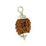 2 MUKHI RUDRAKSHA WITH CAP-PAUDJWKPJS2015200