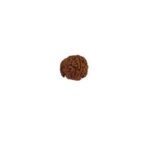 GANESH RUDRAKSHA WITHOUT CAP-PAUDJWKPJS2015217