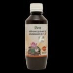 Divya Arvindasav - Fast Shipping to USA & Canada