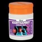 Divya Kanthamrit Chewable Tablet 80 N - Fast Shipping to USA