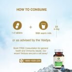 Maharishi Ayurveda Shilajeet Rasayana 500 MG | Natural & Pure Shilajit for Strength, Stamina & Endurance | 60 Tablets Pack of 2 - Fast Shipping to USA - Image 7