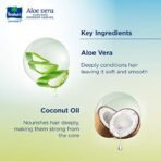Parachute Advansed Aloe Vera Enriched Coconut Hair Oil, 400 ml (Pack of 2) - Fast Shipping to USA & Canada - Image 4