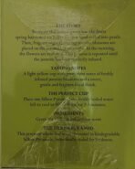 Newby Jasmine Princess Silken Pyramids, 25g, Pack of 10 - Fast Shipping to USA & Canada - Image 5