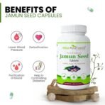 Attar Ayurveda Jamun Seed Extract tablet 500mg, 60 tablets | Beneficial in controlling Blood Sugar Levels, Boosting Digestion, Blood purification and Detoxification (Pack of 1) - Fast Shipping to USA - Image 3